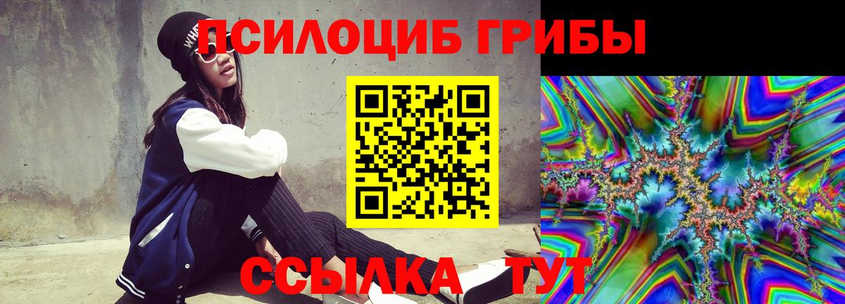 Острогожск  Псилоцибиновые грибы ЛСД  Вход с VPN 